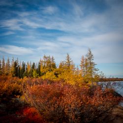 Northern Canada Sub-Arctic